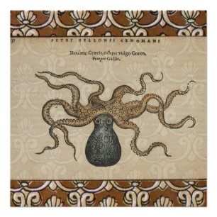 Pôster Ilustração Vintage do Kraken Polvo