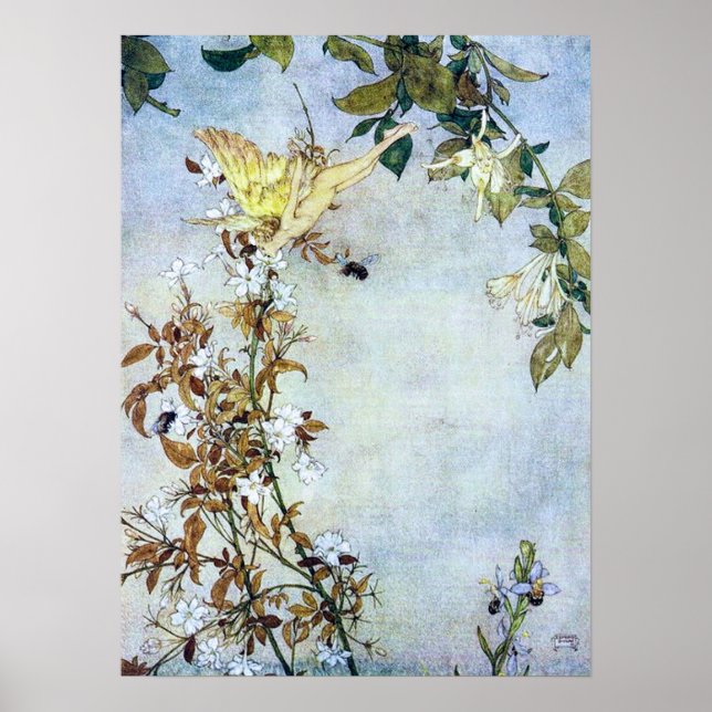 Poster Ilustração Vintage Edmund Dulac Tempest (Frente)