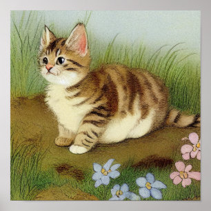 Poster Ilustração Vintage Kitten com Flores