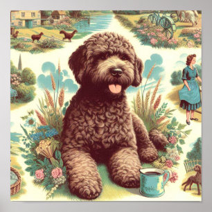 Poster Ilustração Vintage Lagotto Romagnolo