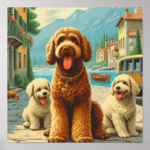 Poster Ilustração Vintage Lagotto Romagnolo