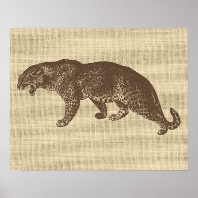 Poster Ilustração Vintage Leopard (Frente)