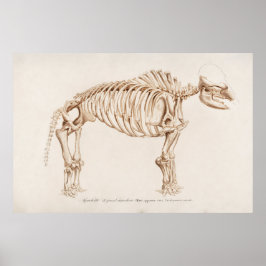 Poster Ilustração Vintage Mamoth