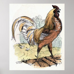 Poster Ilustração Vintage "Rooster"