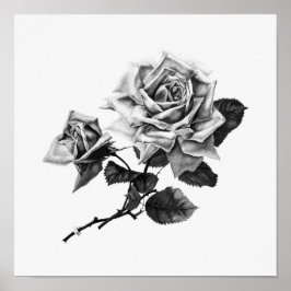 Poster Ilustração Vintage Rosa