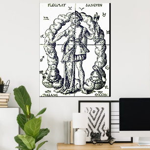 Poster Ilustração vírgula humorística dos sinais de zodía