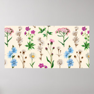 Poster Ilustrações de aquarelas de flores silvestres. Sem