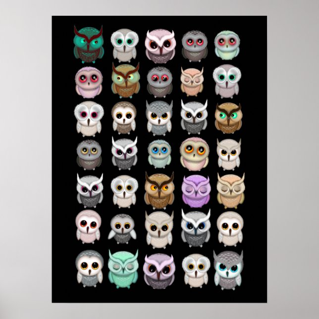 Pôster Ilustrações de Pequenas Corujas Bonitas (Frente)