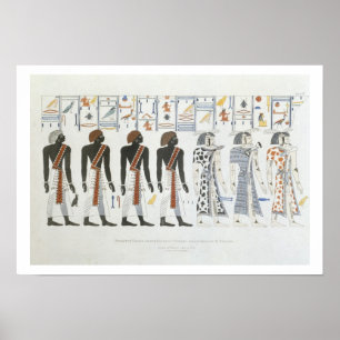 Poster Ilustrações dos hieroglyphics dos túmulos de t