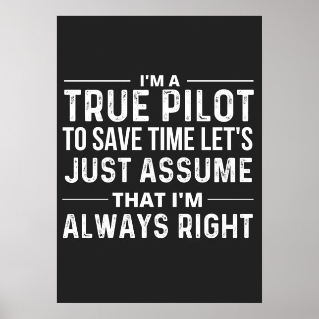 Poster I'm a Pilot - To save time let's just assume that (Frente)