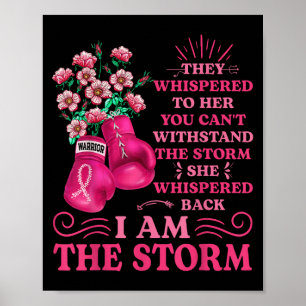 Poster Im A Tempestade Boxando As Mulheres De Fita Rosa D