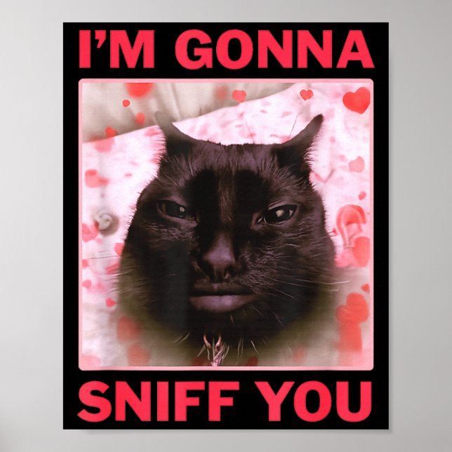 Poster I'm Gonna Sniff You Funny Raunchy Brainrot Meme Ge (Frente)