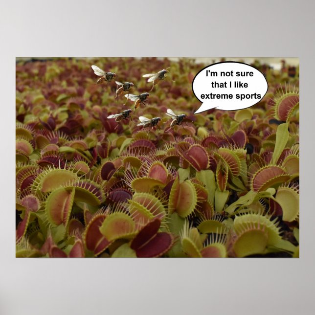 Poster I'm not sure I like extreme sport. (Frente)