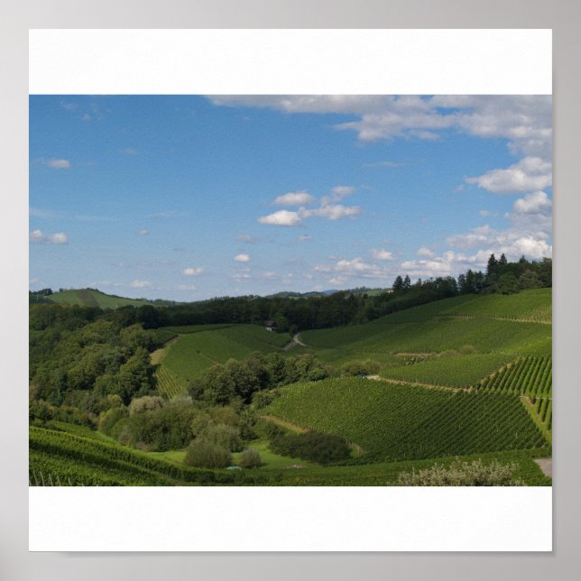 Pôster im Schwarzwald (Frente)