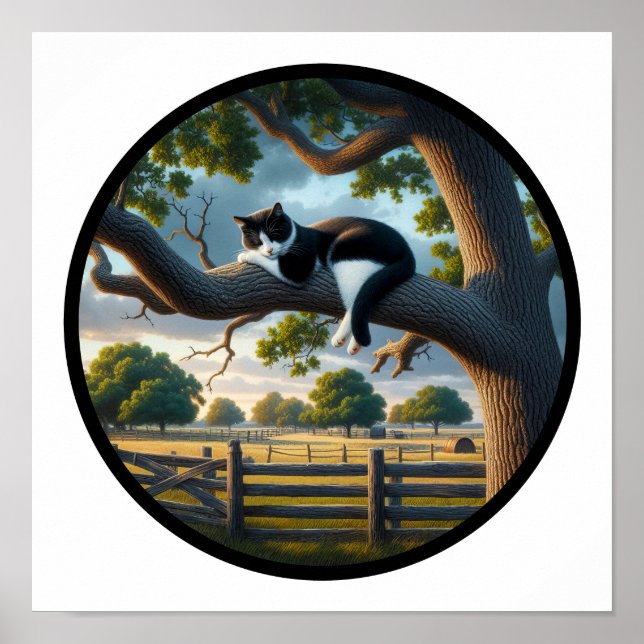 Poster Imagem 3D circular de um bonito gato Tuxedo (Frente)