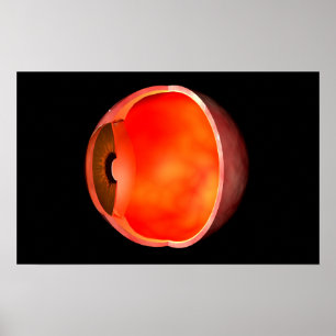 Pôster Imagem Conceitual Da Cruz De Olhos Humanos Seção 2