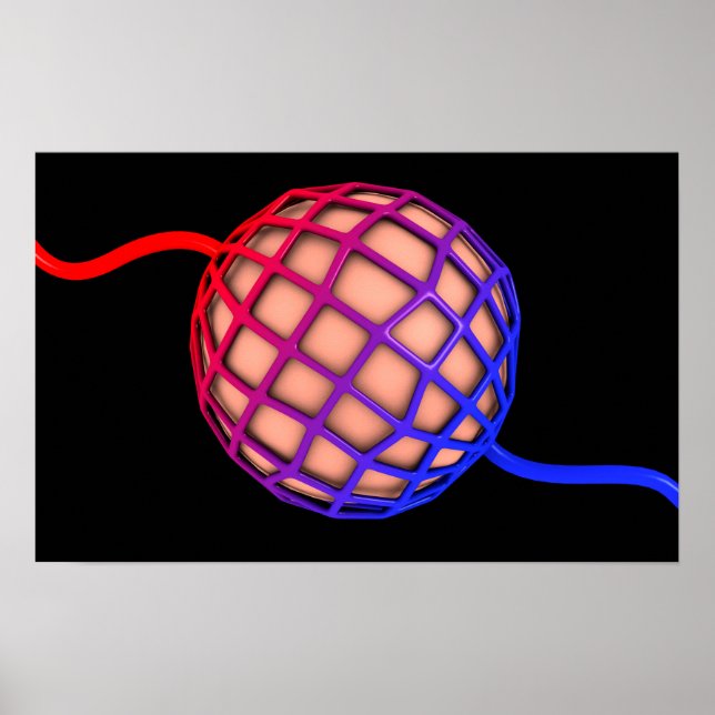 Pôster Imagem Conceitual De Alveolus (Frente)