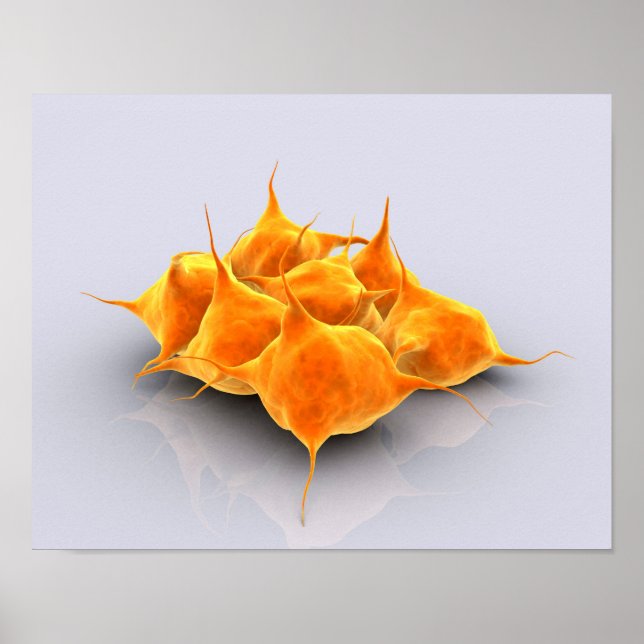 Pôster Imagem Conceitual De Um Grupo De Plaquetas (Frente)