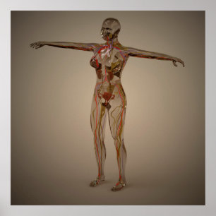 Pôster Imagem Conceitual Do Sistema Nervoso Humano 2