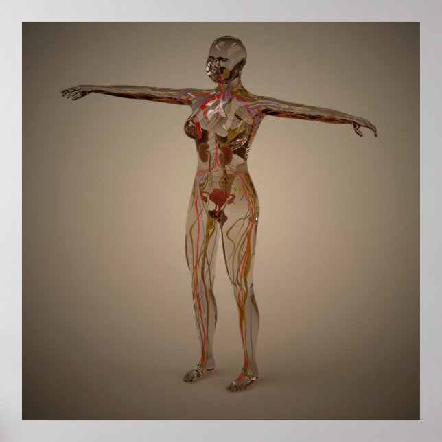 Pôster Imagem Conceitual Do Sistema Nervoso Humano 2 (Frente)