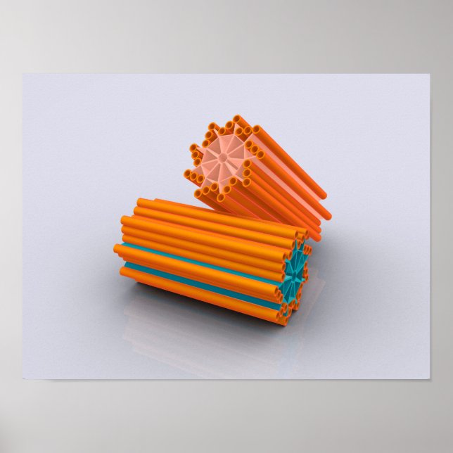 Pôster Imagem Conceitual Dos Centrioles 2 (Frente)