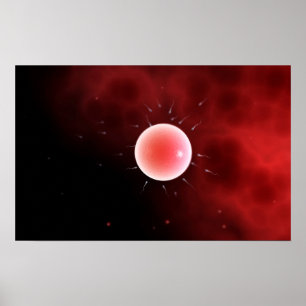 Poster Imagem conceptual da fecundação comum