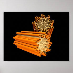 Pôster Imagem conceptual das centrioles 1