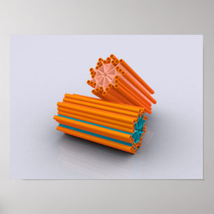 Pôster Imagem conceptual das centrioles 2