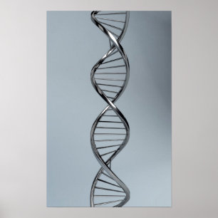 Poster Imagem conceptual de ADN 2