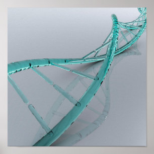 Pôster Imagem conceptual de ADN 3