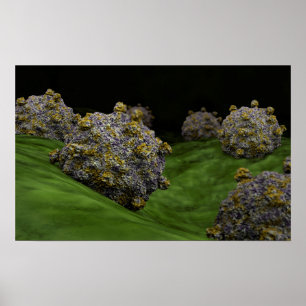 Pôster Imagem conceptual de Coxsackievirus 1