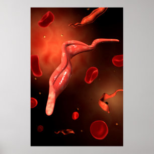 Pôster Imagem conceptual de Trypanosoma 1