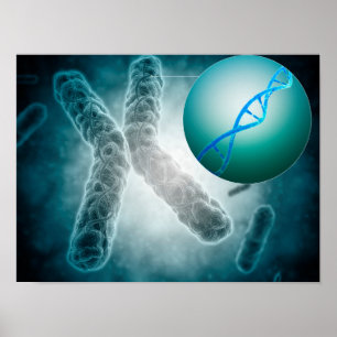 Poster Imagem conceptual de um Telomere que mostra o ADN
