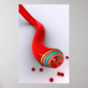 Poster Imagem conceptual de um vaso sanguíneo