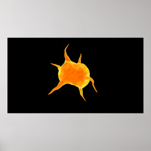 Poster Imagem conceptual de uma plaqueta
