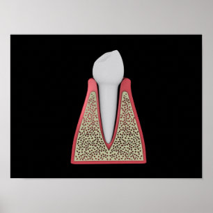 Poster Imagem conceptual do dente humano 1