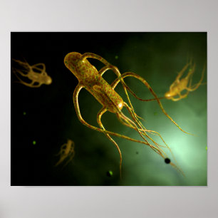 Pôster Imagem conceptual dos Typhi 2 das salmonelas