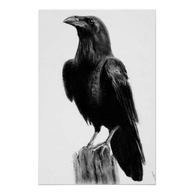 Pôster Imagem de corvo   (Frente)