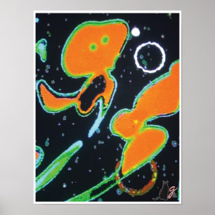 Pôster Imagem do Punkin KC