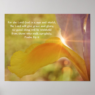 Poster Imagem Fotográfica da Flor Sunshine Iris
