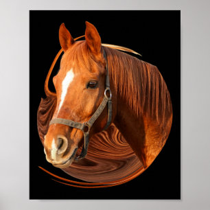 Poster Imagem Gráfica de Cavalo Anidente - Cavaleiro Cava