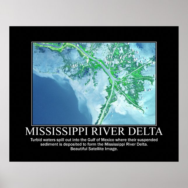 Pôster Imagem por Satélite do Delta do Rio Mississippi (Frente)