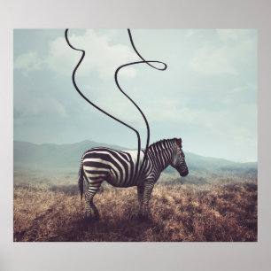 Poster Imagem surreal de uma zebra e duas de sua rua pret