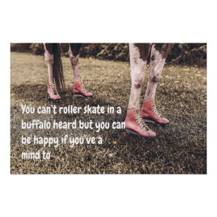 Pôster Imagens engraçadas de vacas com imagens bonitas co