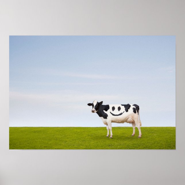 Poster Imagens Getty | Vaca Smiley face (Frente)