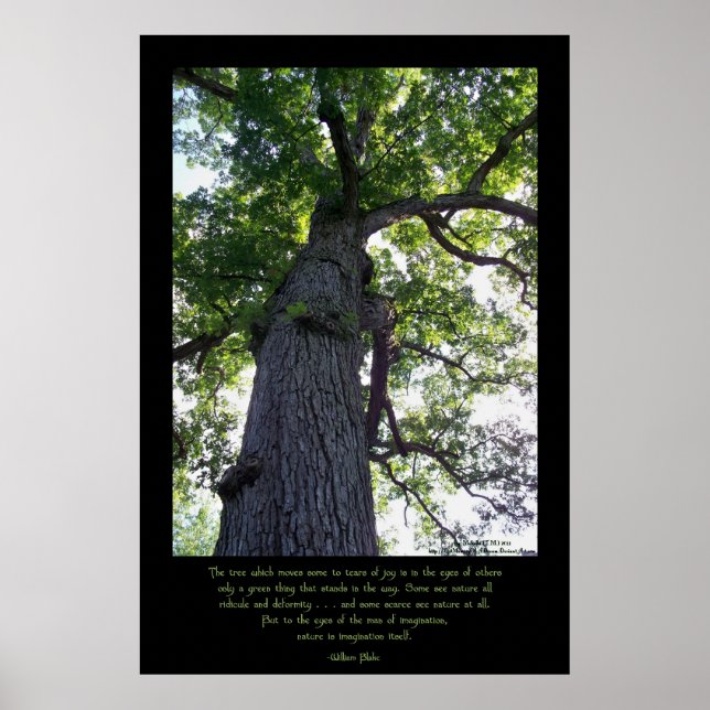 Poster Imagine (Frente)