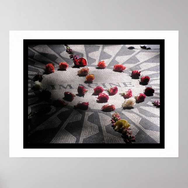 Pôster Imagine o Parque Central do Mosaico (Frente)