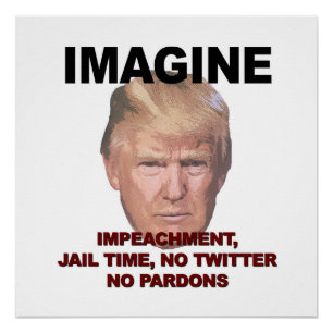 Pôster Imaginem Impeachment, prisão, Twitter, Sem Pardons