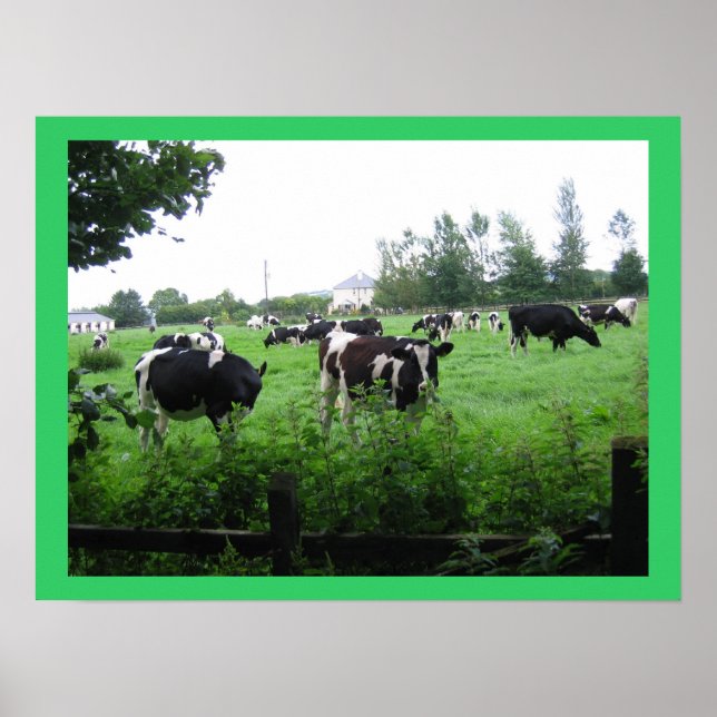 POSTER IMG_0722 (Frente)