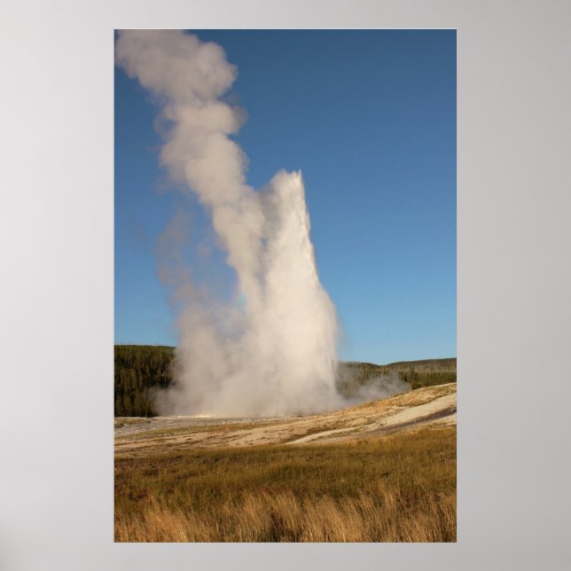 POSTER IMG_1081_1 (Frente)